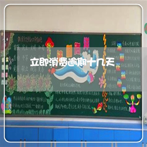 立即消费逾期十几天 立即消费逾期十几天