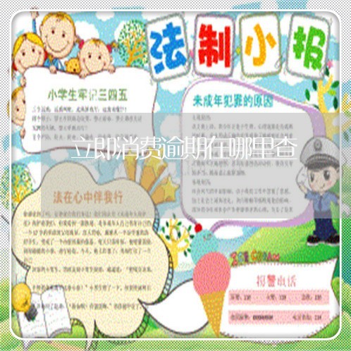 立即消费逾期在哪里查 立即消费逾期在哪里查