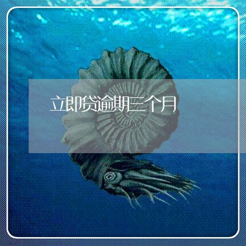 立即贷逾期三个月