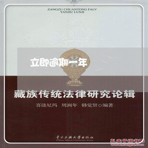 立即逾期一年