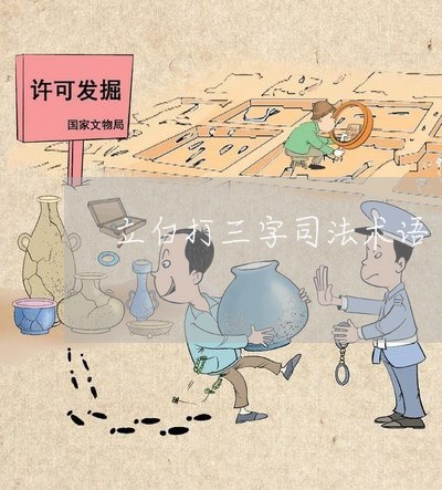 立白打三字司法术语 立白打三字司法术语