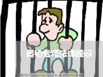 竞拍专项法律顾问 竞拍专项法律顾问