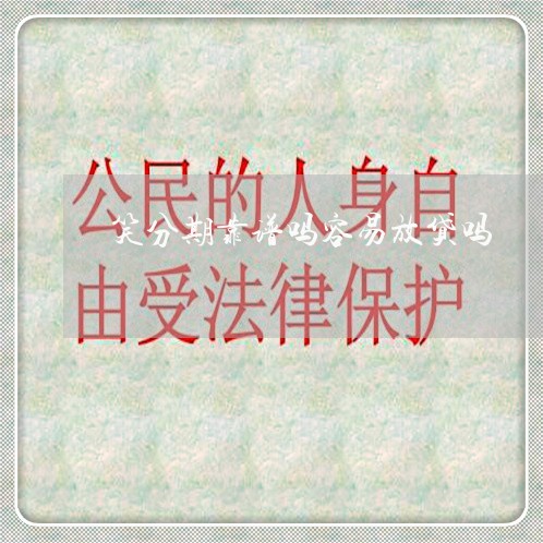 笑分期靠谱吗容易放贷吗