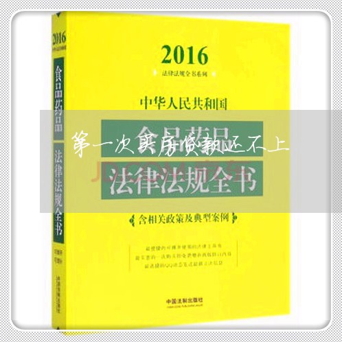 第一次买房贷款还不上/2023041650614