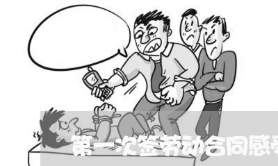 第一次签劳动合同感受怎么写/2023061685716 第一次签劳动合同感受怎么写/2023061685716