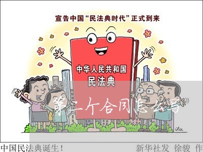 第二个合同怎么写/2023041451682