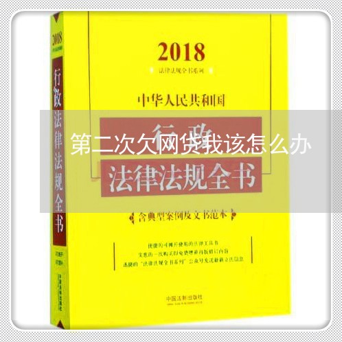 第二次欠网贷我该怎么办 第二次欠网贷我该怎么办