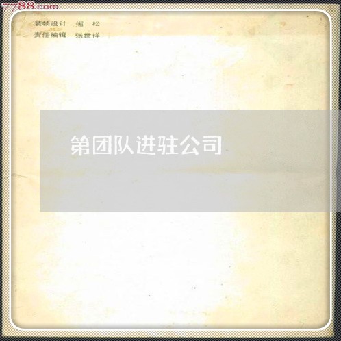第团队进驻公司