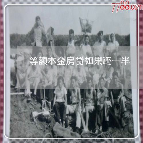 等额本金房贷如果还一半/2023060892505