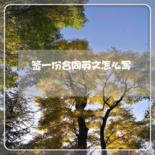 签一份合同英文怎么写/2023041699503 签一份合同英文怎么写/2023041699503