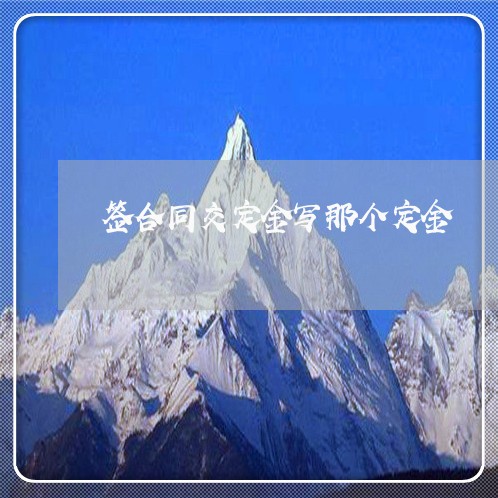 签合同交定金写那个定金/2023040342615