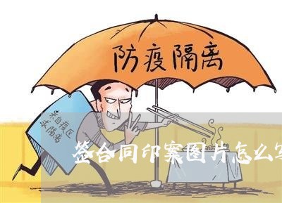 签合同印案图片怎么写/2023022578391
