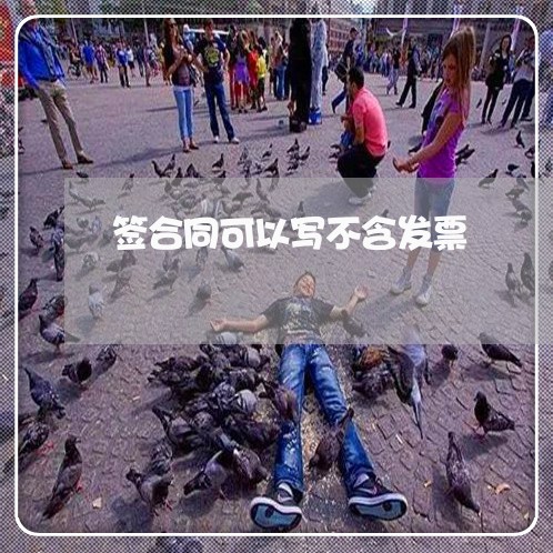签合同可以写不含发票 签合同可以写不含发票