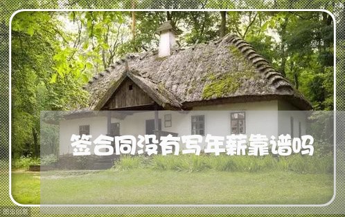 签合同没有写年薪靠谱吗/2023041417382