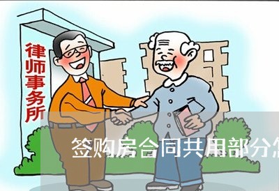 签购房合同共用部分怎么写/2023022785040