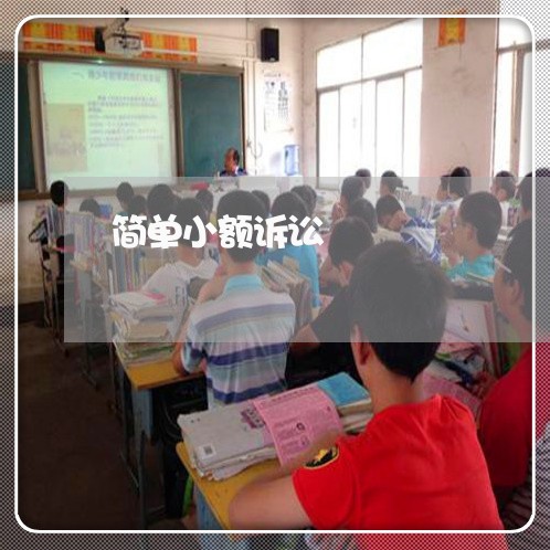 简单小额诉讼