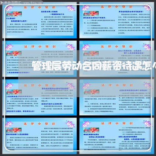 管理层劳动合同薪资待遇怎么写/2023060867283 管理层劳动合同薪资待遇怎么写/2023060867283