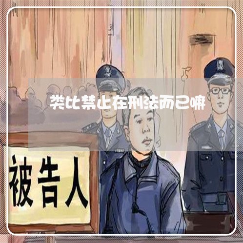 类比禁止在刑法而已嘛