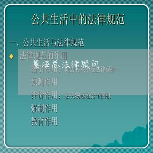 粤海总法律顾问 粤海总法律顾问