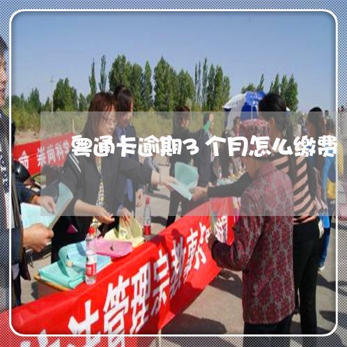 粤通卡逾期3个月怎么缴费
