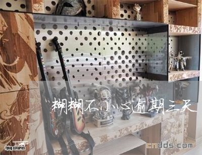 糊糊不小心逾期三天