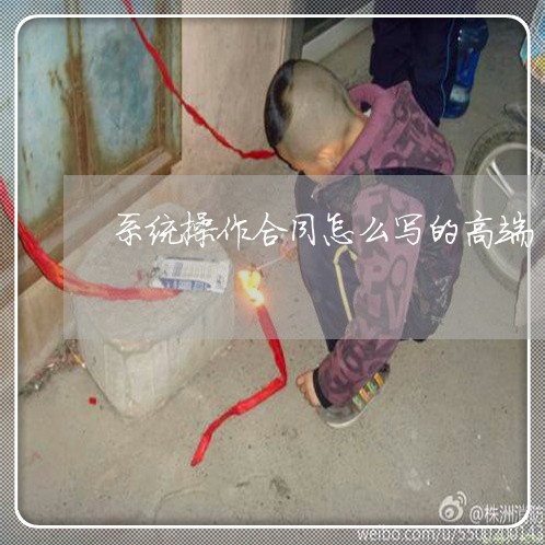 系统操作合同怎么写的高端/2023040408282 系统操作合同怎么写的高端/2023040408282