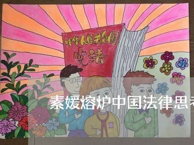 素媛熔炉中国法律思考 素媛熔炉中国法律思考