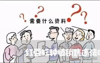 红豆杉种植销售违法吗 红豆杉种植销售违法吗