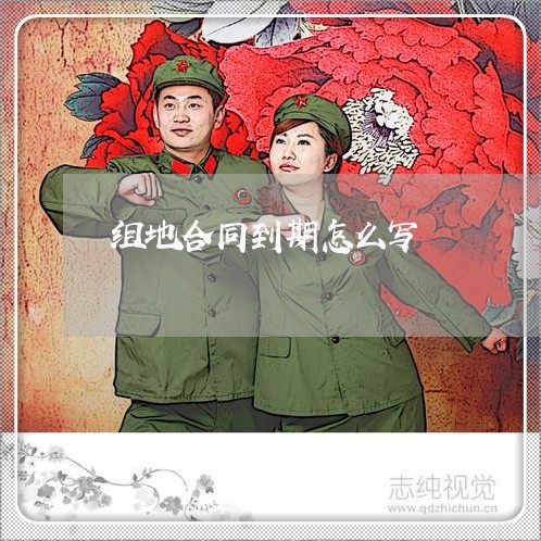 组地合同到期怎么写/2023022729373