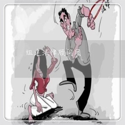 组建法律顾问团/2023061836049