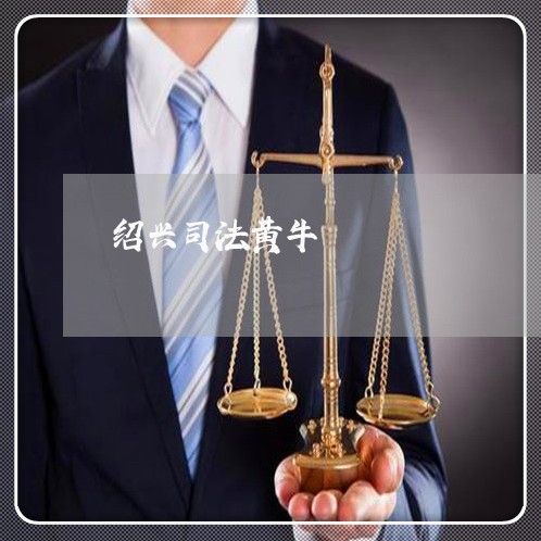 绍兴司法黄牛 绍兴司法黄牛