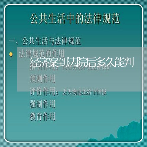 经济案到法院后多久能判