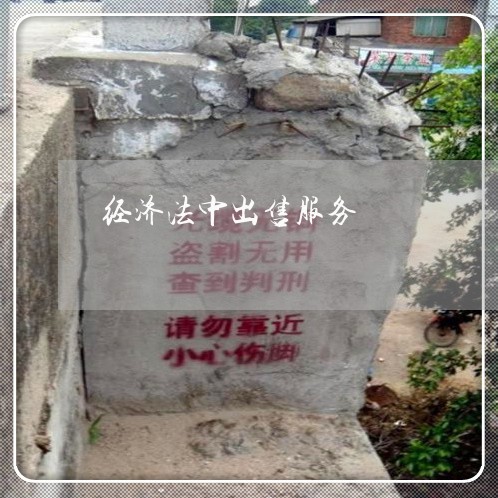 经济法中出售服务
