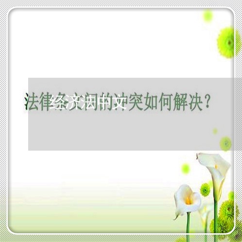 经济法中文