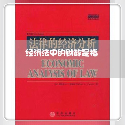 经济法中的财政是指 经济法中的财政是指