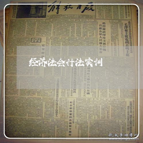 经济法会计法实训 经济法会计法实训