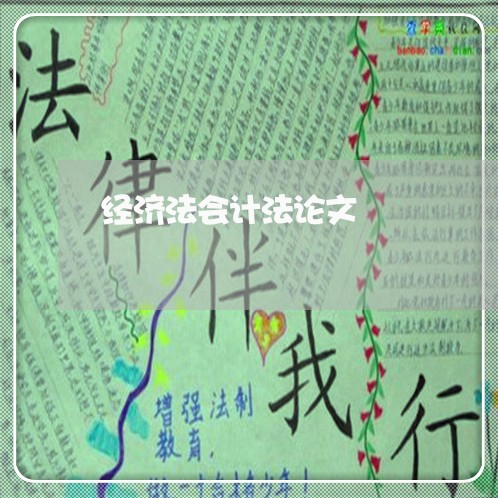 经济法会计法论文 经济法会计法论文