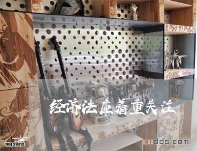 经济法应着重关注 经济法应着重关注