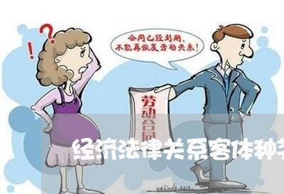 经济法律关系客体种类与特征