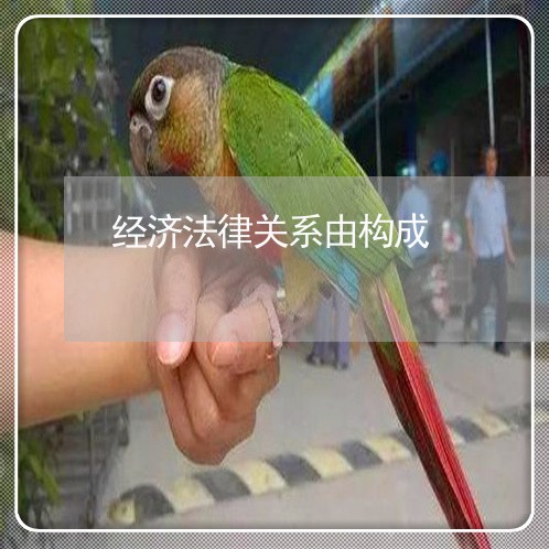 经济法律关系由构成 经济法律关系由构成