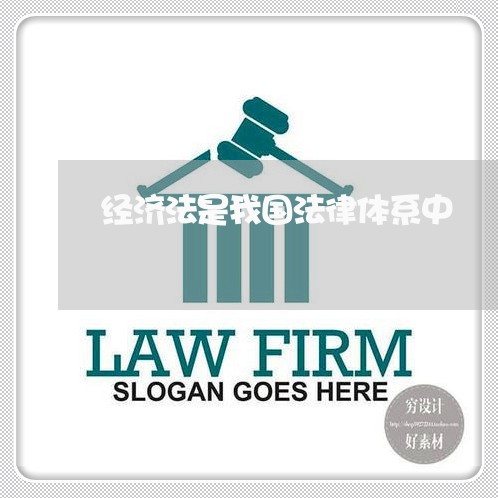 经济法是我国法律体系中