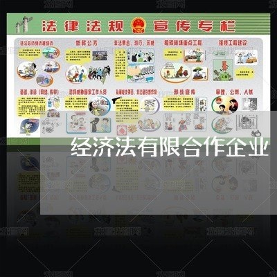 经济法有限合作企业 经济法有限合作企业