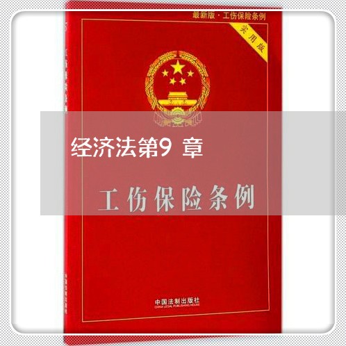 经济法第9章 经济法第9章