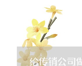 给传销公司做法律顾问 给传销公司做法律顾问