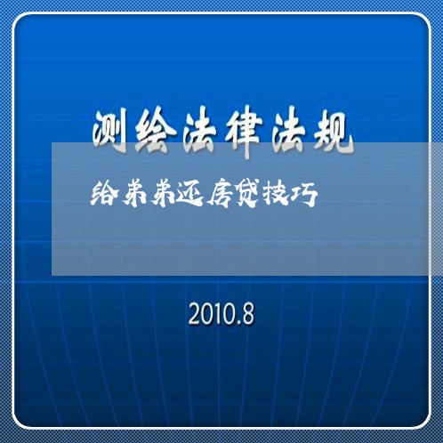 给弟弟还房贷技巧/2023040115048