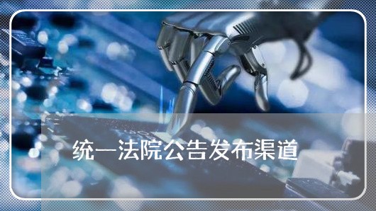 统一法院公告发布渠道 统一法院公告发布渠道
