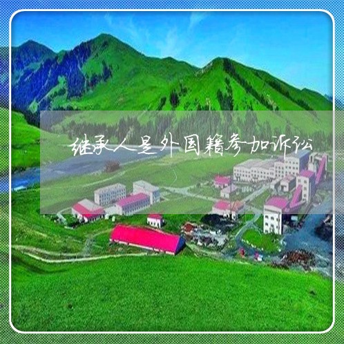 继承人是外国籍参加诉讼