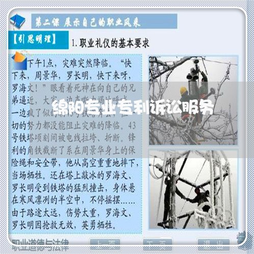 绵阳专业专利诉讼服务