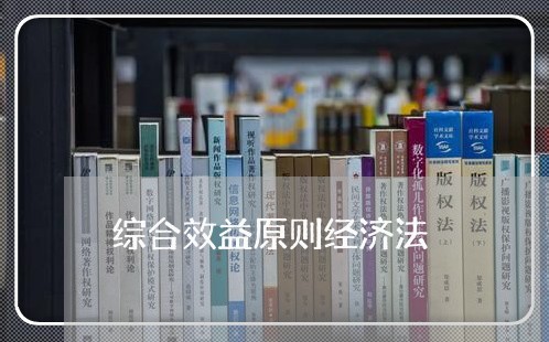 综合效益原则经济法 综合效益原则经济法