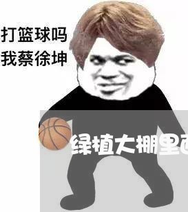绿植大棚里面设备合同怎么写/2023060539361 绿植大棚里面设备合同怎么写/2023060539361